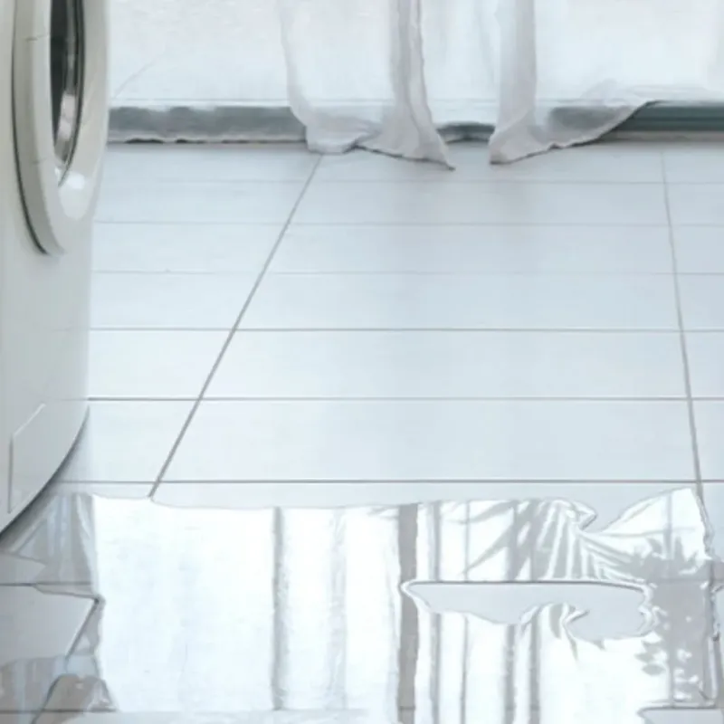 Appliance Leak Cleanup in Pahala, HI